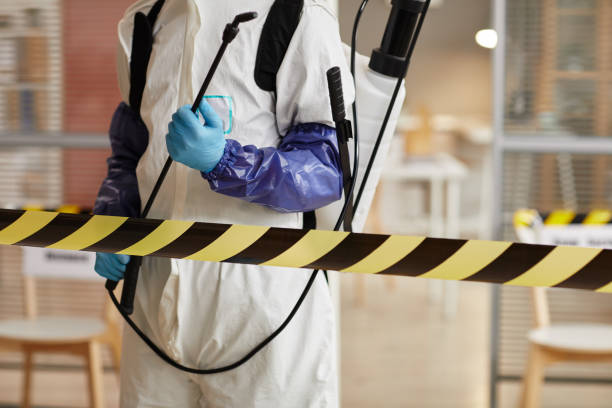 Professional Sewage Cleanup technician working in Garland, TX